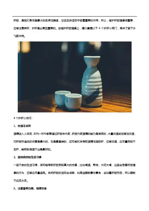 掌握4个护肝小技巧,了解水飞蓟作用,肝脏更健康!
