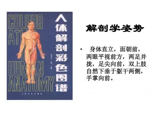 解剖复习图片Microsoft PowerPoint 幻灯片