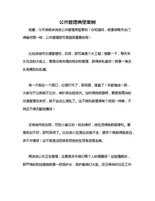 公共管理典型案例