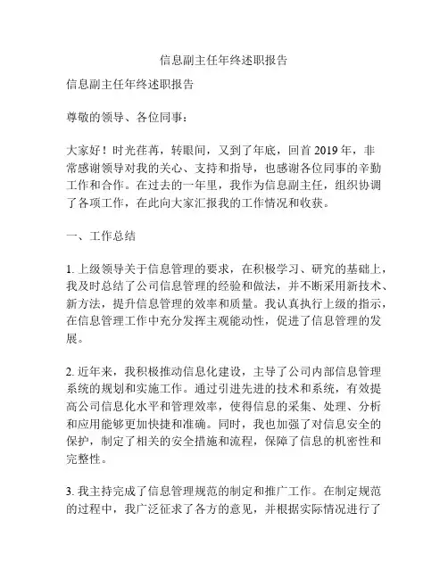 信息副主任年终述职报告