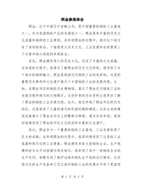 照金参观体会