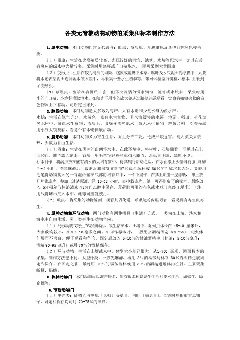 各类无脊椎动物的采集和处理方法