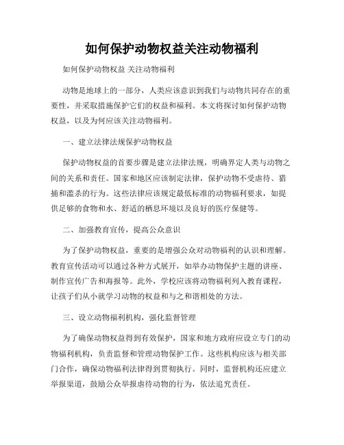 如何保护动物权益关注动物福利