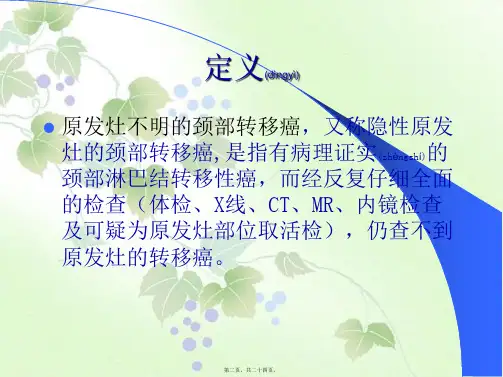 202X年原发灶不明颈部转移癌讲座