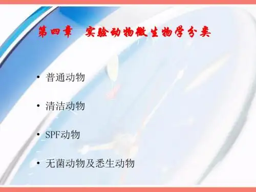 实验动物学课45