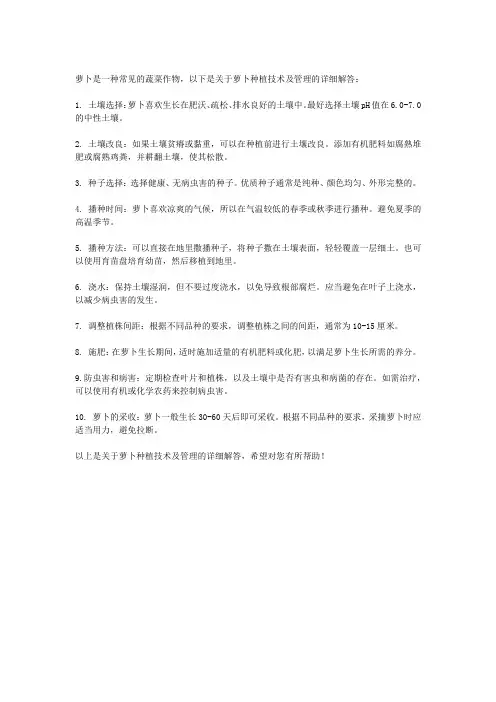 萝卜种植技术及管理