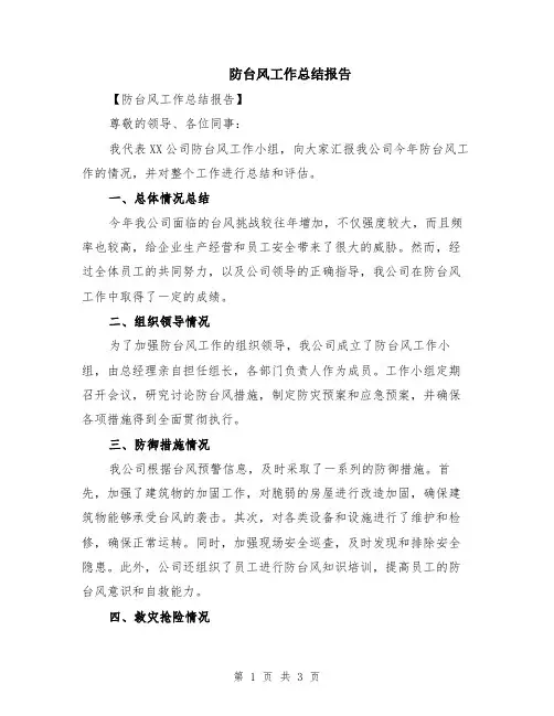 防台风工作总结报告