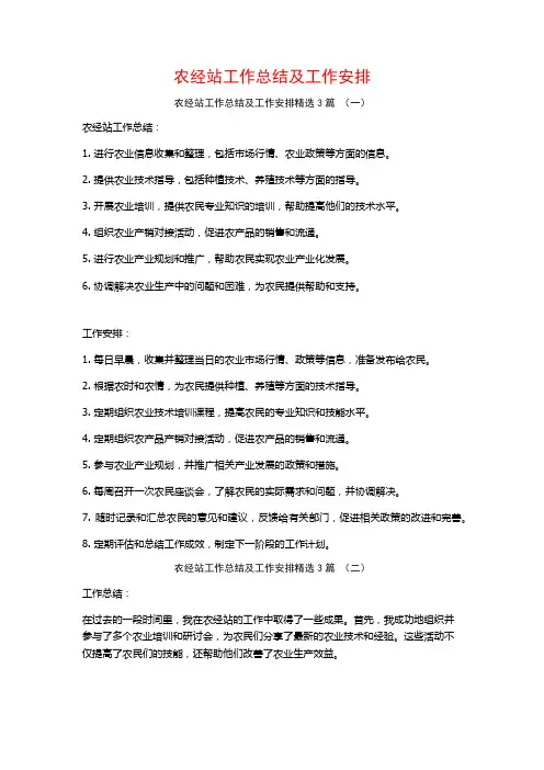 农经站工作总结及工作安排3篇
