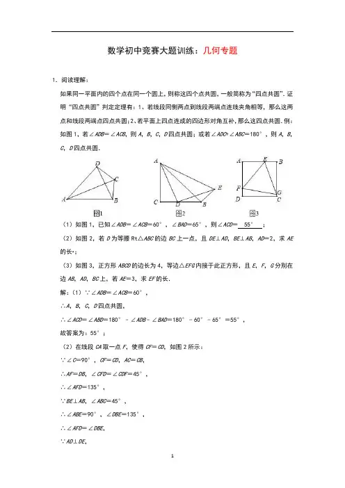 数学初中竞赛大题训练：几何专题(含答案)