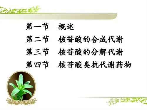 核苷酸的代谢PPT课件