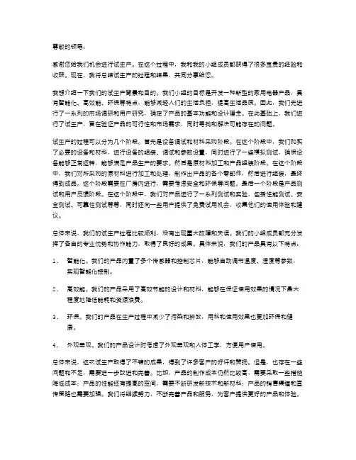 试生产总结范文