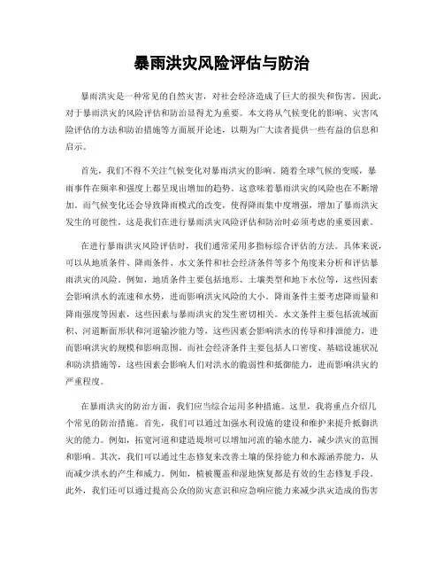 暴雨洪灾风险评估与防治