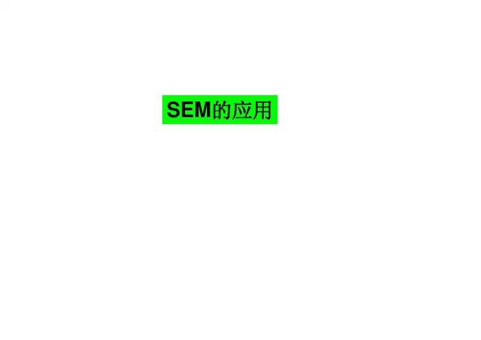 SEM应用举例