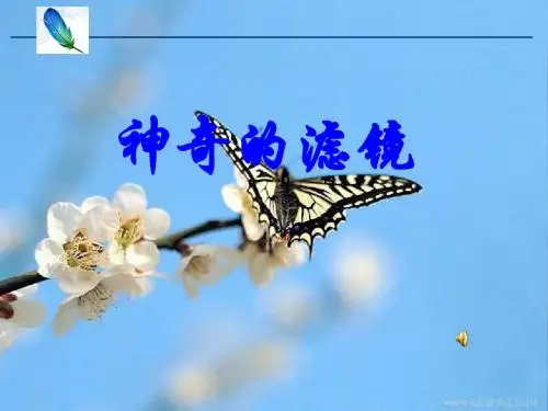《滤镜的应用》课件