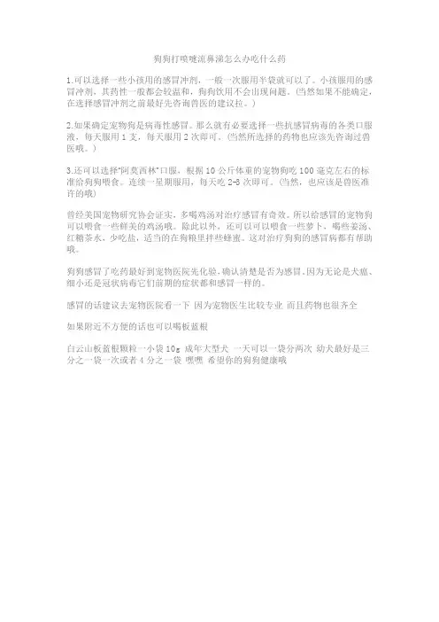 狗狗打喷嚏流鼻涕怎么办吃什么药