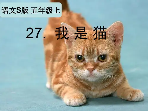 五年级上册语文课件-课文27 我是猫｜语文S版 (共15张PPT)