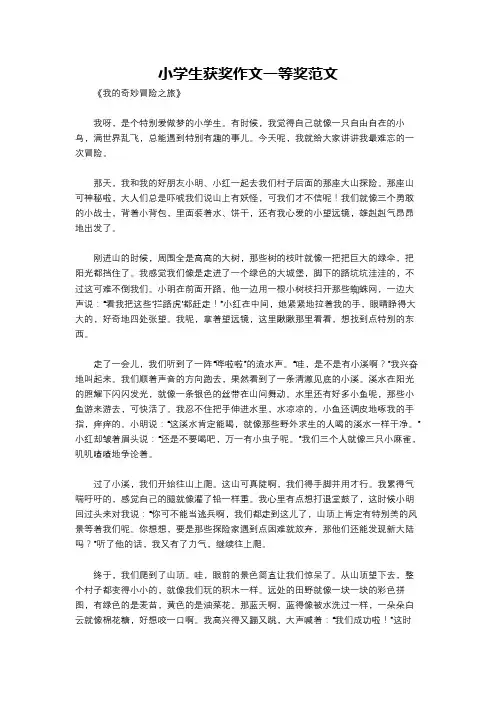 小学生获奖作文一等奖范文