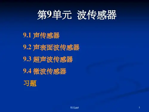 《波传感器》PPT课件