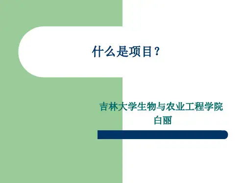 1 什么是项目？