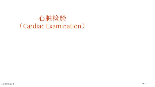 心脏检查全套讲义