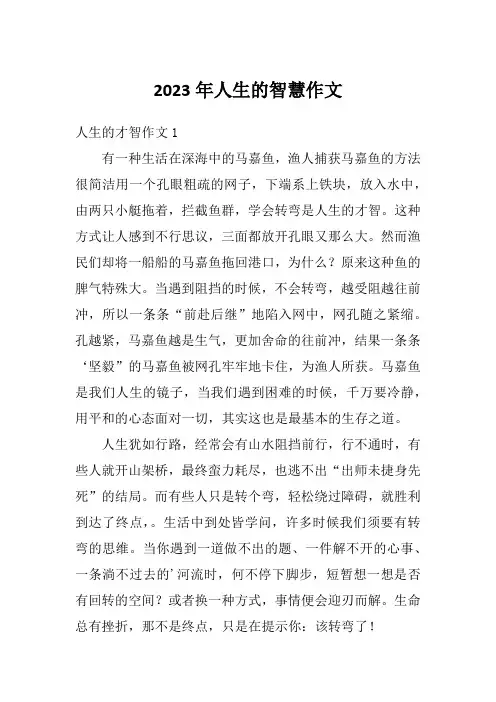2023年人生的智慧作文