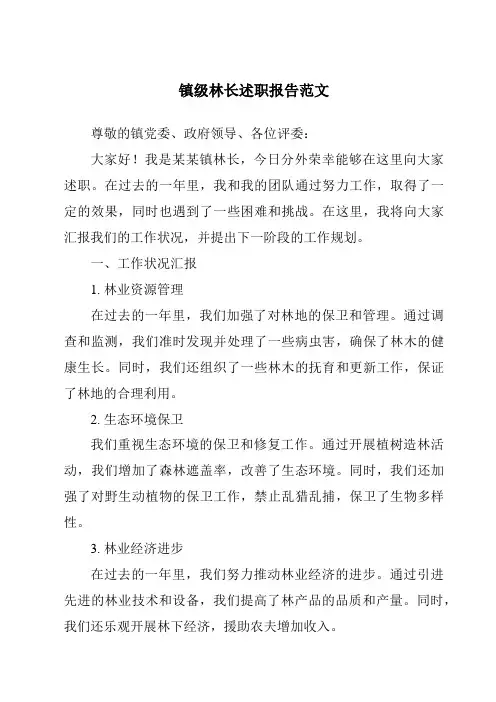 镇级林长述职报告范文