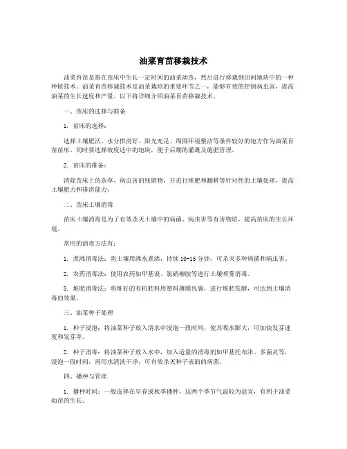 油菜育苗移栽技术