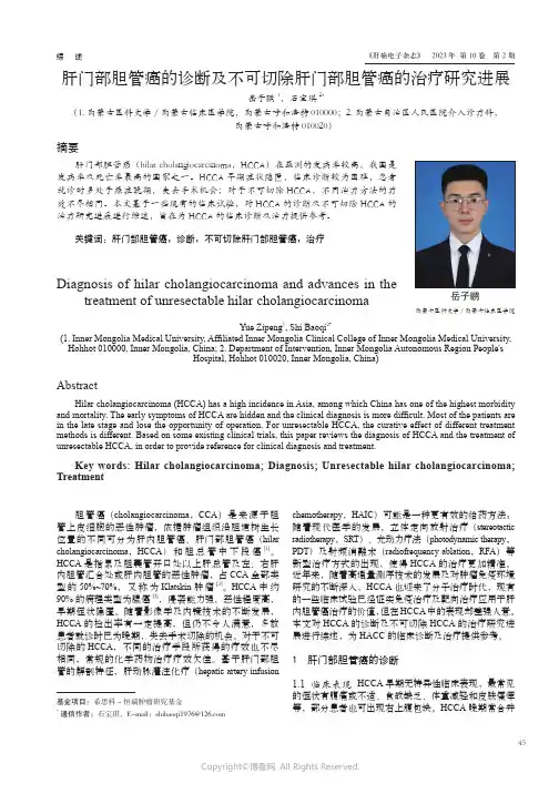 肝门部胆管癌的诊断及不可切除肝门部胆管癌的治疗研究进展