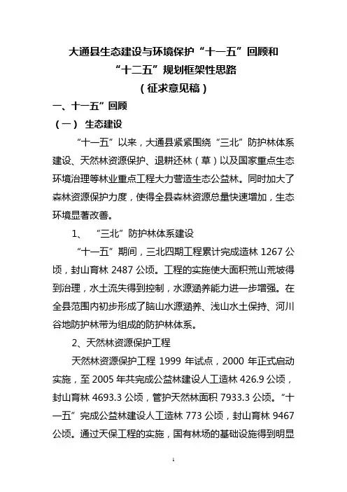 大通县“十二五”发展规划基本思路