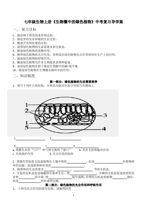 七年级生物上册《生物圈中的绿色植物》中考复习导学案