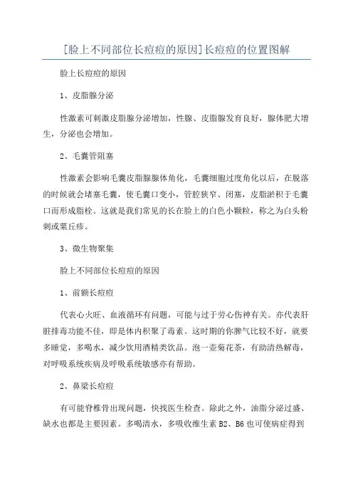 [脸上不同部位长痘痘的原因]长痘痘的位置图解