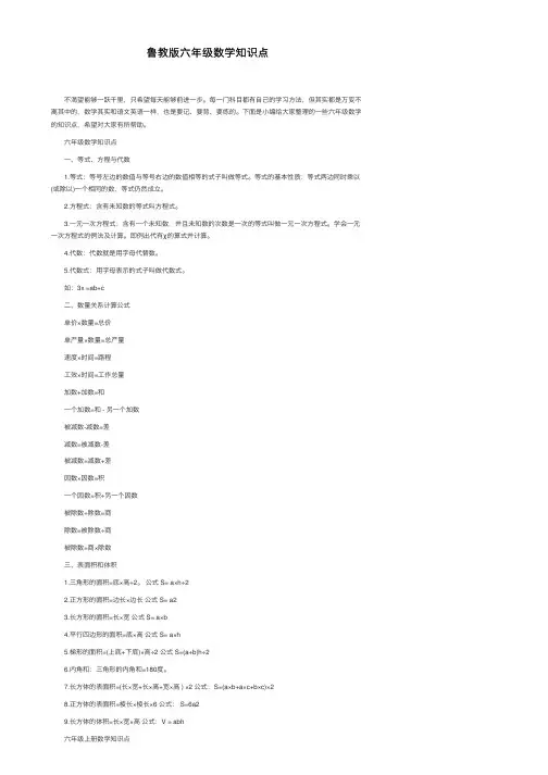 鲁教版六年级数学知识点
