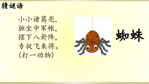 20蜘蛛开店 课件(共39张PPT)