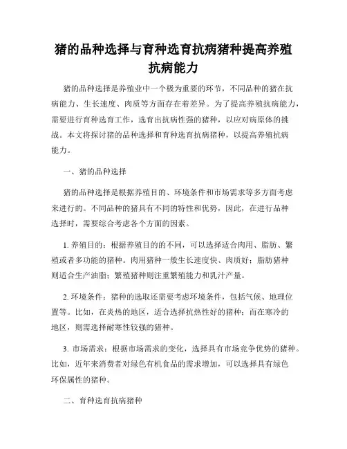 猪的品种选择与育种选育抗病猪种提高养殖抗病能力