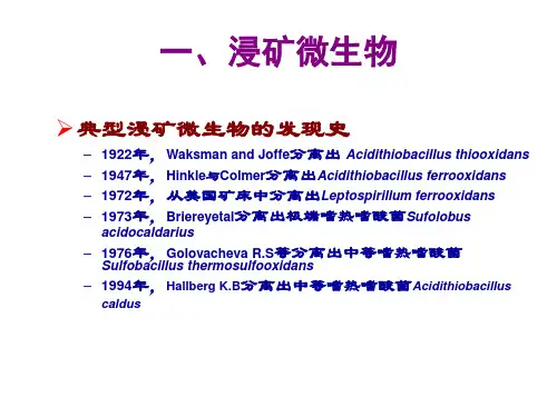 生物选矿共61页