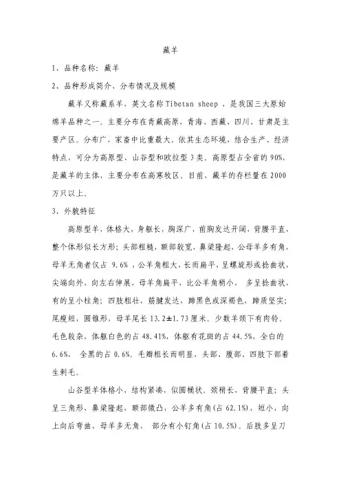 藏羊介绍及图片
