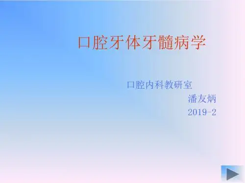 新编文档-龋病学理论ppt课件-精品文档