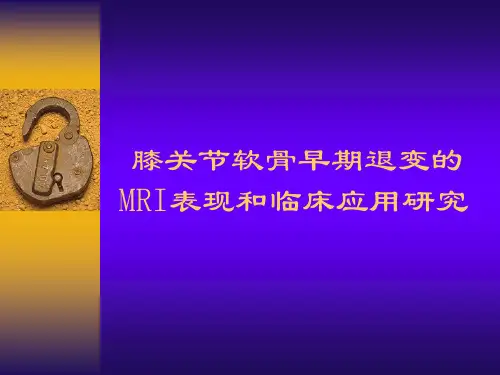 膝关节软骨早期退变的MRI表现及临床应用研究