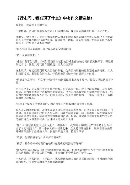 《行走间,我发现了什么》中考作文10篇