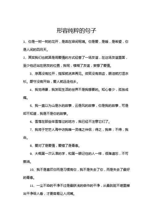 形容纯粹的句子