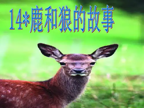 语文六年级上人教新课标《鹿和狼的故事》课件(130)(29张)