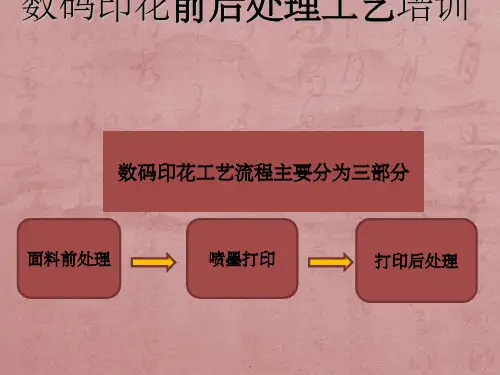 数码印花工艺流程培训