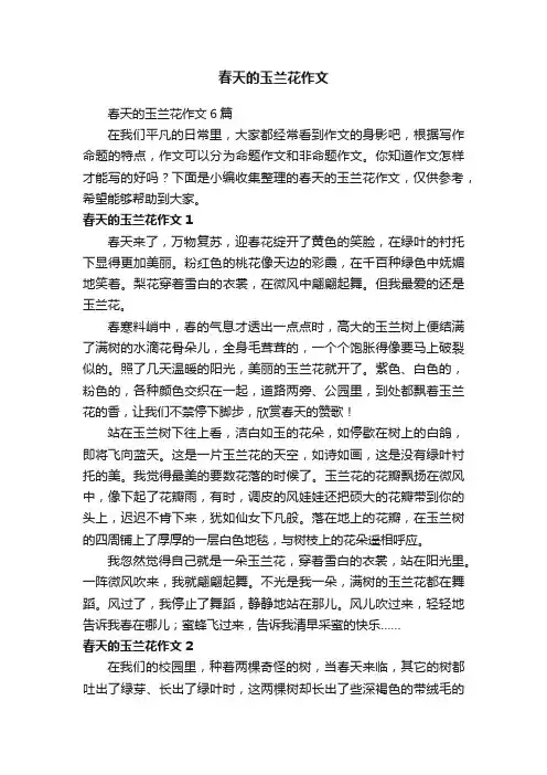春天的玉兰花作文6篇