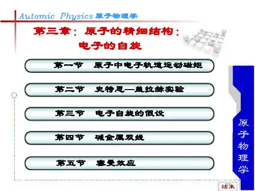 电子的自旋