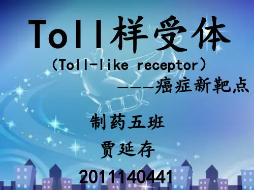 Toll样受体