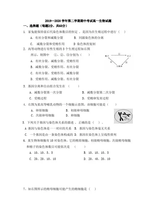 2019—2020学年第二学期期中考试高一生物试题