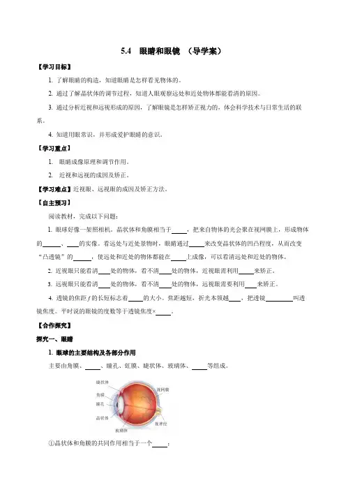 5.4眼睛和眼镜(导学案)八年级物理上册(人教版)