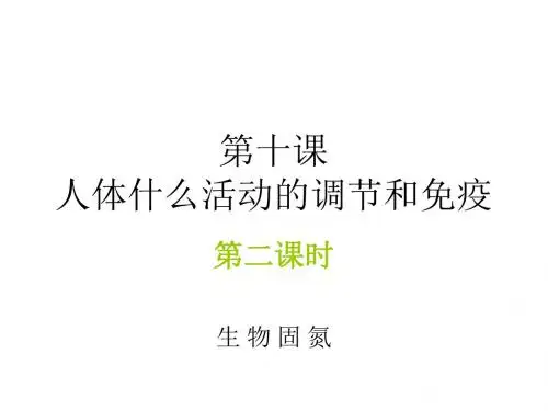 高二生物生物固氮(教学课件2019)