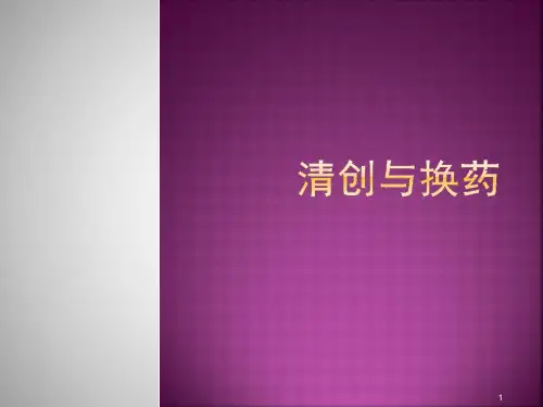 清创与换药PPT课件