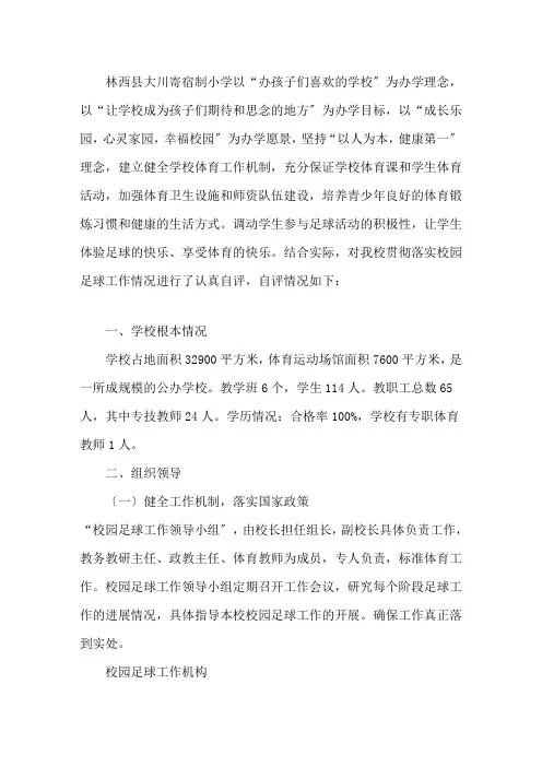 最新中小学足球特色校园自评报告精选
